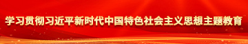 大雷妹叉逼学习贯彻习近平新时代中国特色社会主义思想主题教育